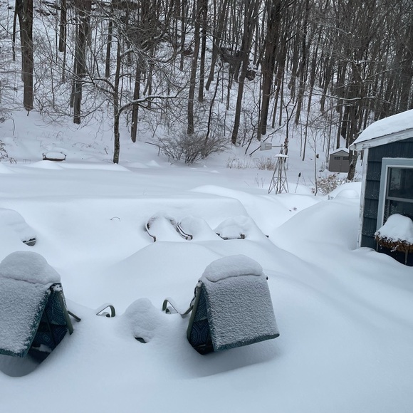 VACATION HOLD - Picture 4 of 10